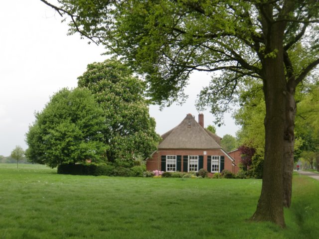 HWK2010 067.jpg